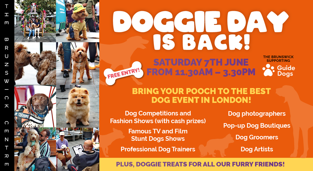 TB074 Dog Day Web Banner